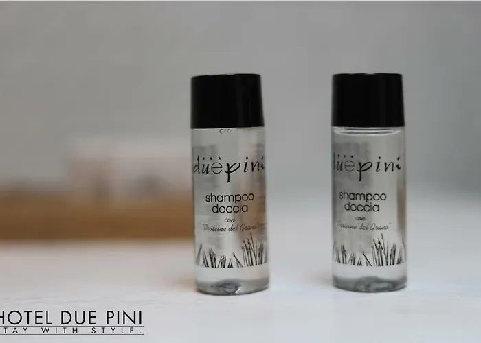 Due Pini 3* 포르미지네